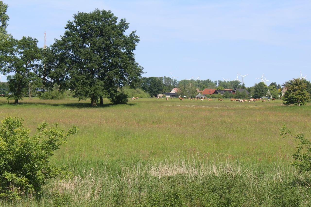 Spreewald Ferienwohnung Luebben Exterior foto